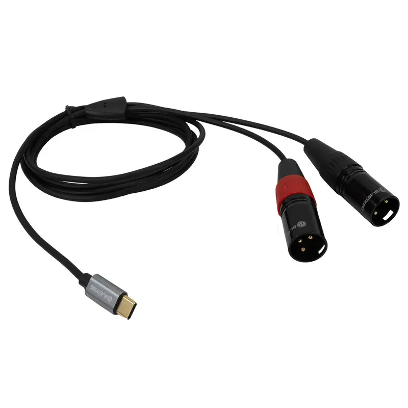 Blastking C2xlrtc-6 Usb-C To Dual Xlr Male Audio Cable / 6Ft (1.82M) 1
