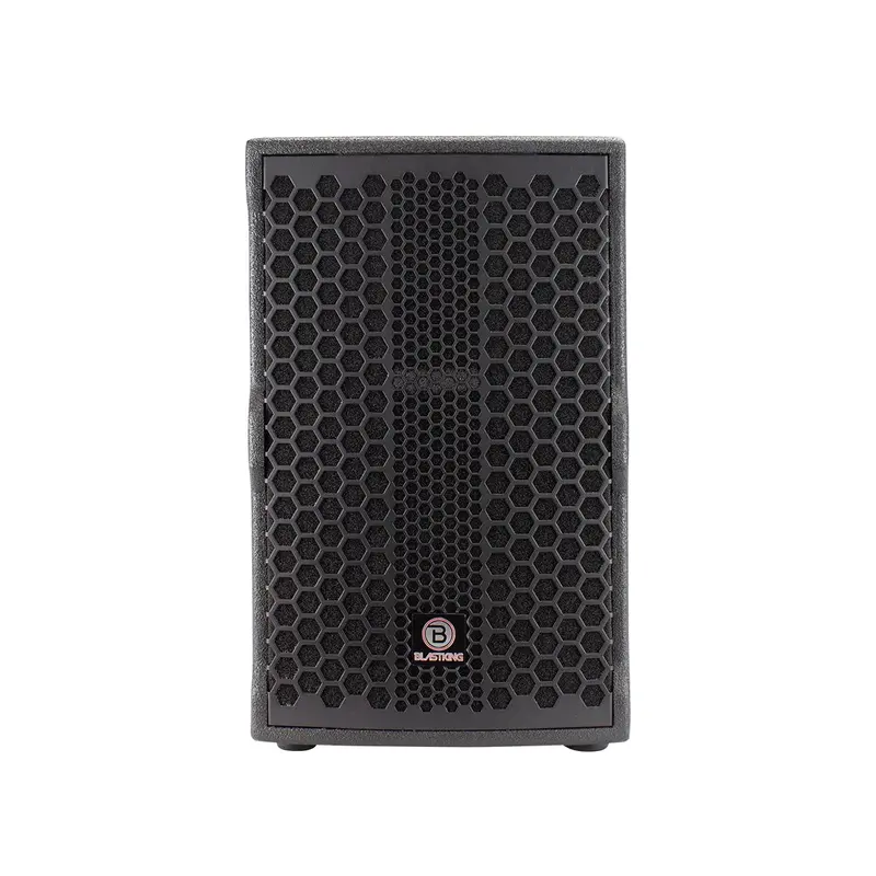 Blastking Novo-10 10” 2-Way Passive Loudspeaker 800 Watts 1