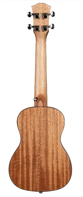 Cascha Hh2151 Concert Mahogany Ukulele Set 2