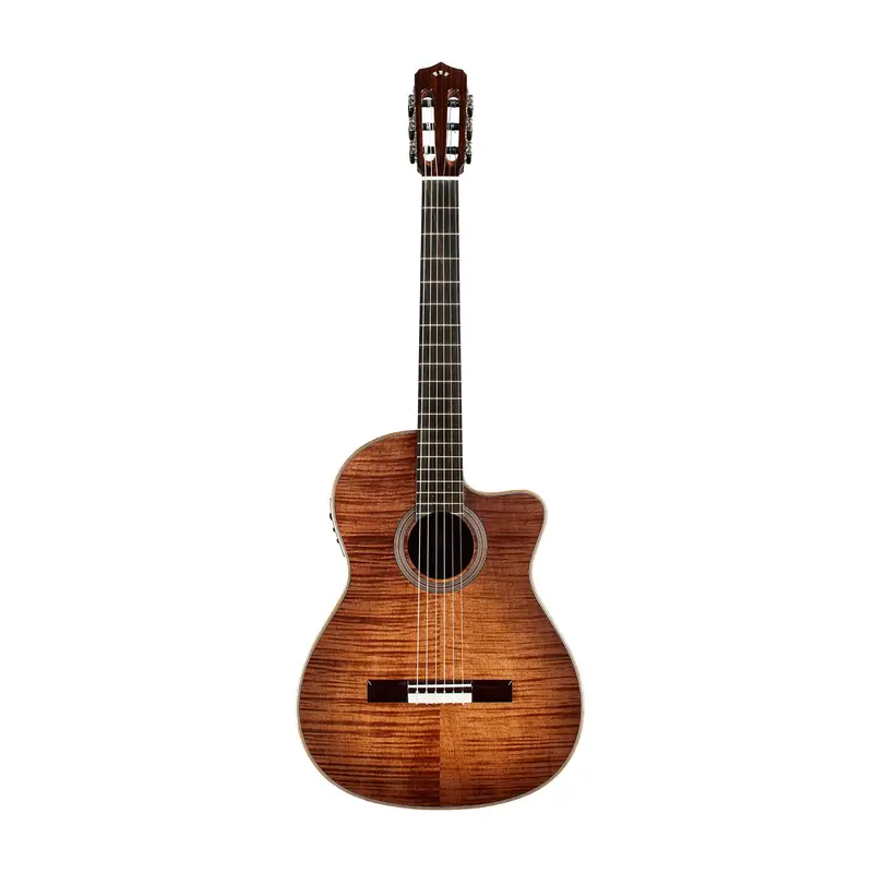 Cordoba Fusion 12 Exotic Top Nylon-String Acoustic-Electric Guitar - Cinnamon Burst 1