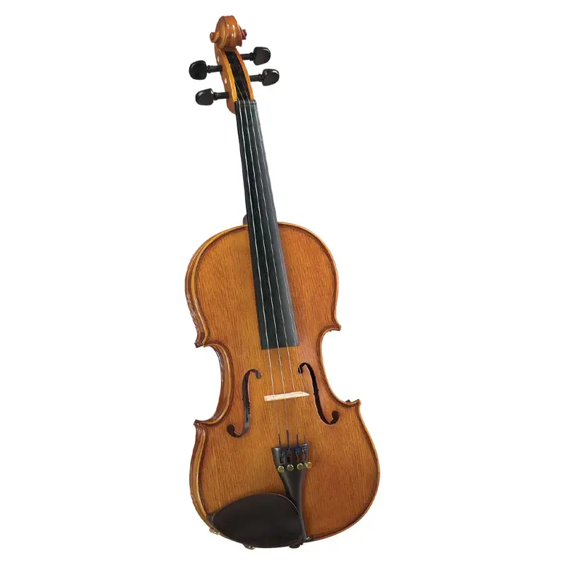 Cremona Sv-175 Violin Outfit 1