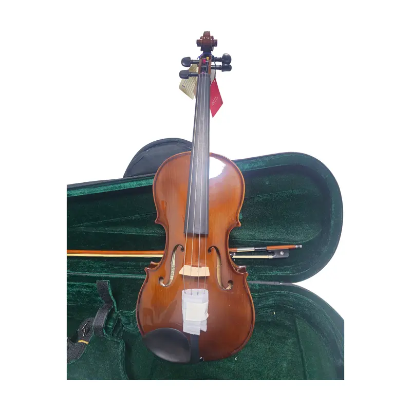 Cremona Sva-130 Premier Novice Viola Outfit 1