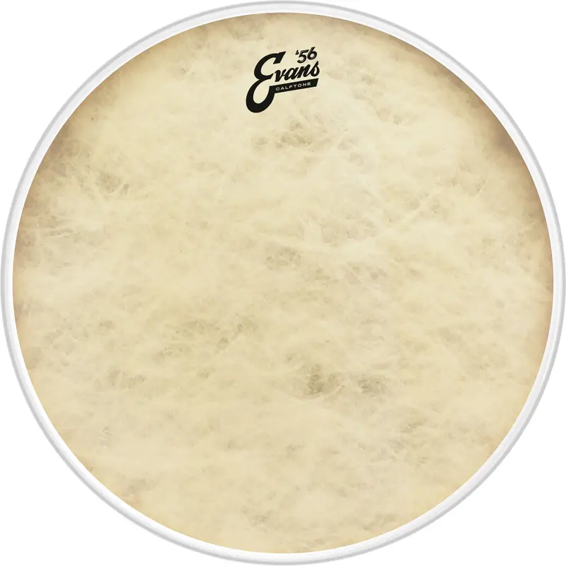 Evans Bd16ct 16" '56 Calftone Bass Drumhead 1