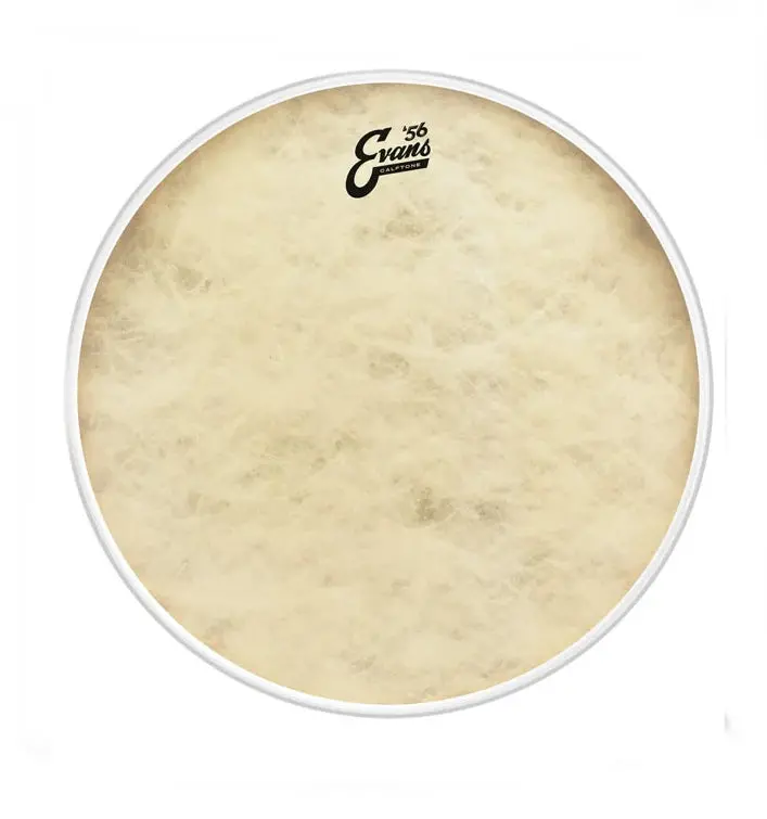 Evans Tt16ct 16" '56 Calftone Tom Drumhead 1
