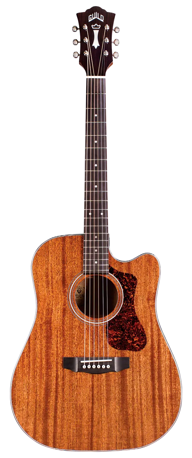 Guild D-120Ce Acoustic-Electric Guitar, Fishman Electronics 1