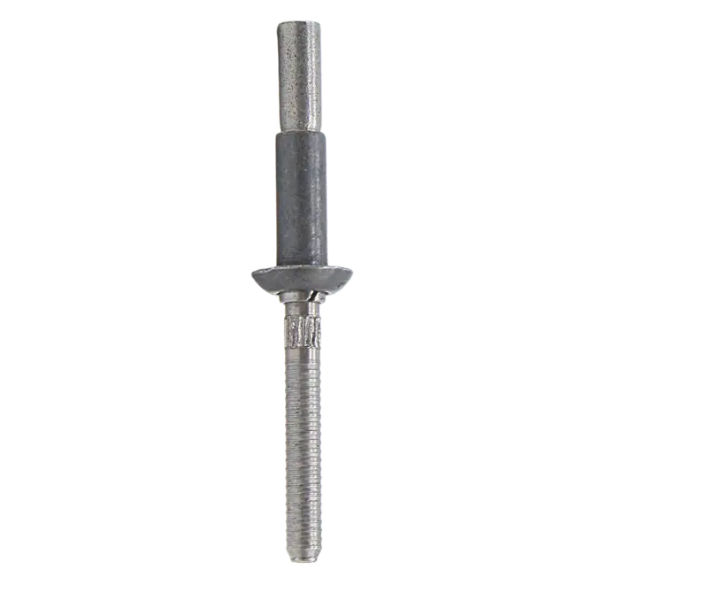 Nas1398c6a6 - Rivet 1