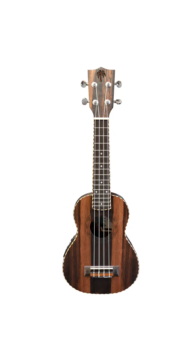 Ookala Soprano Ebony Ukulele W/ Pickup 1