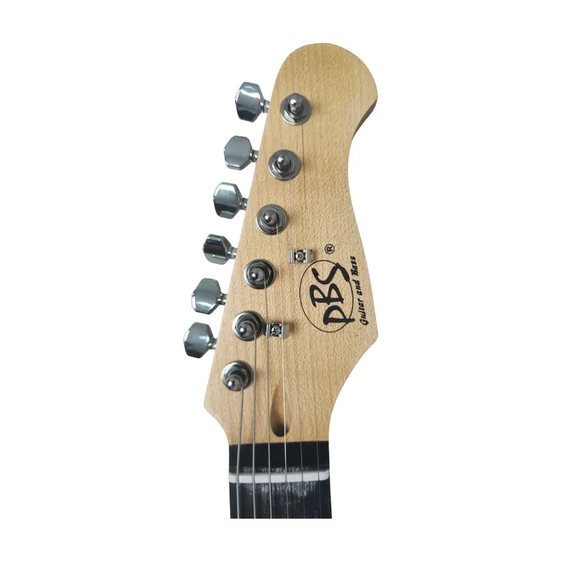 Pbs Electric Guitar Combo Pack St-100 2