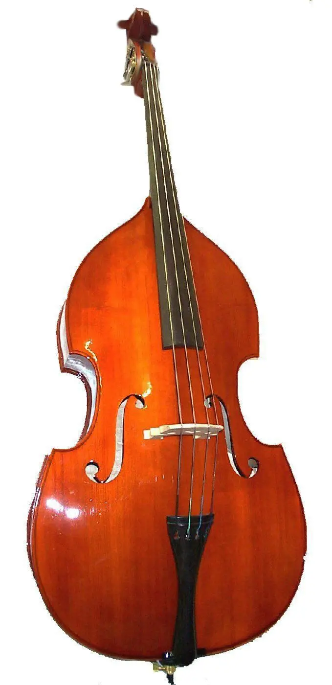 Standard Double Bass 1