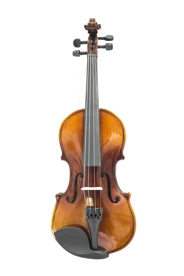Standard Violin Flamed Svl-20 1