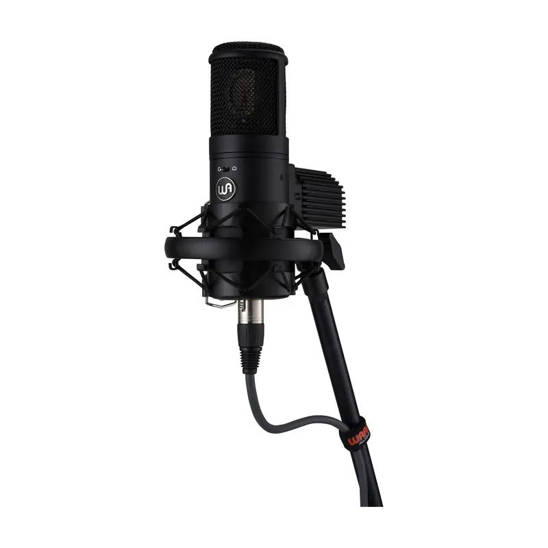 Warm Audio Wa-8000 Large-Diaphragm Multipattern Tube Condenser Microphone 1