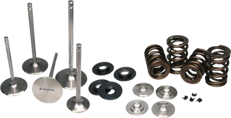 Ferrea 12-15 Scion/Subaru Fr-S/Brz Dual Spring Kit 1