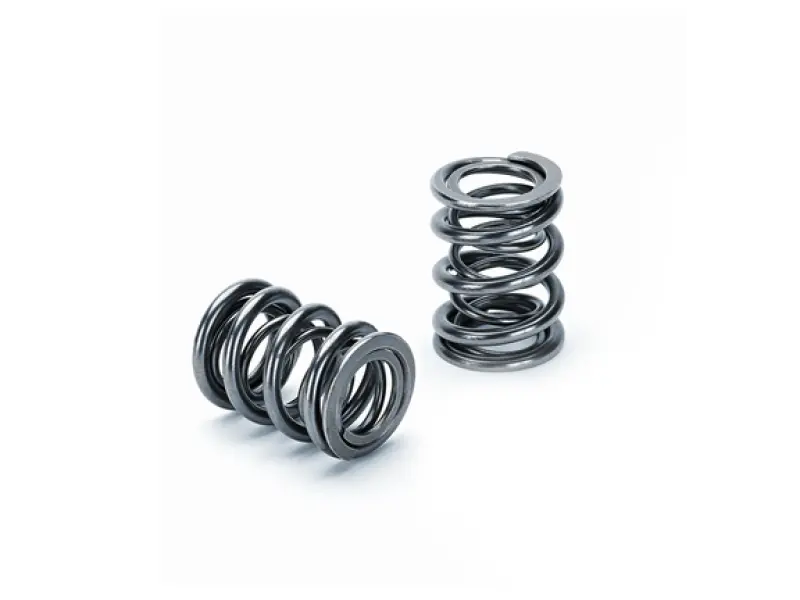 Supertech Dual Valve Spring Kit For Honda K20, K24, F20C1, And F22C1 Engines – Set Of 16 1